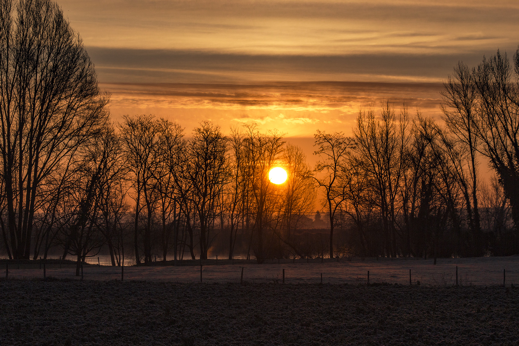 jolie photo de lever de soleil en hiver avec un ciel très orangé et le soleil entre les arbres