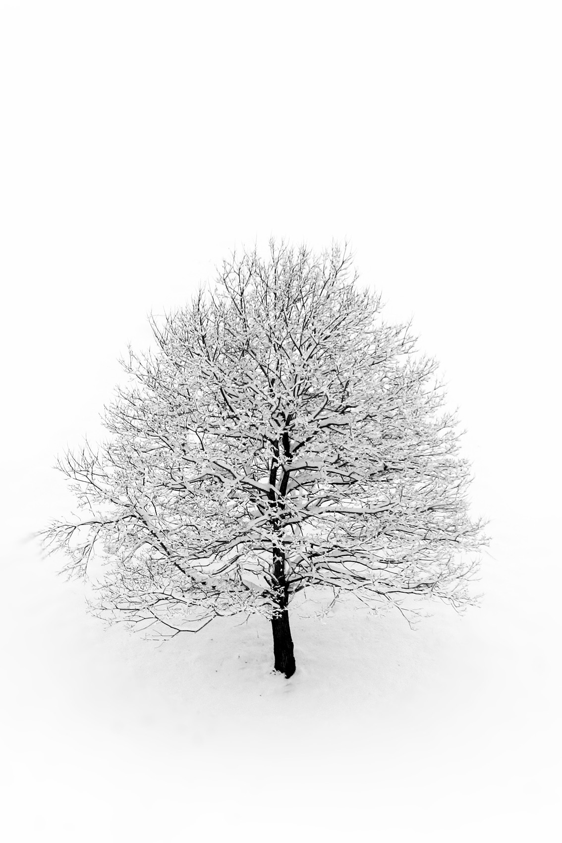 photo épurée en noir et blanc